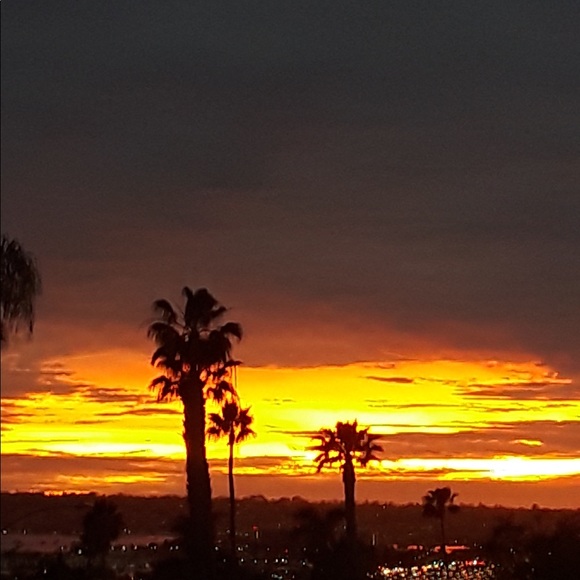 Meet your Posher, Tammy - Picture 6 of 7